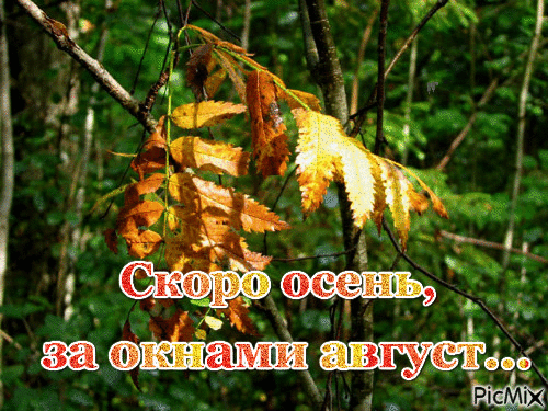осень - Ingyenes animált GIF
