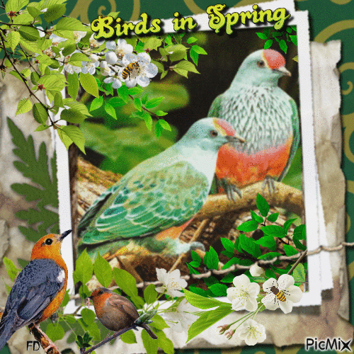 Birds in Spring - GIF animé gratuit