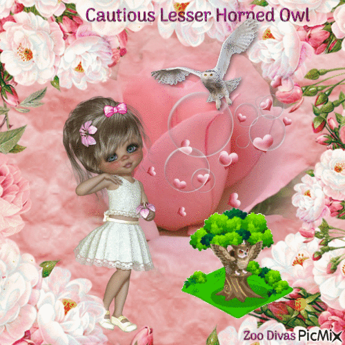 Cautious Lesser horned owl - Бесплатный анимированный гифка