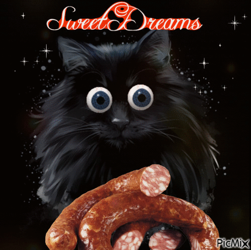 черный кот ❣ black cat - Bezmaksas animēts GIF