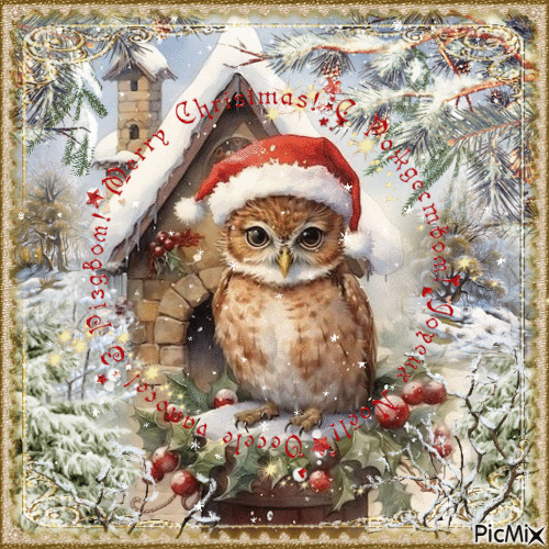 Owl  on  Christmas - Бесплатни анимирани ГИФ