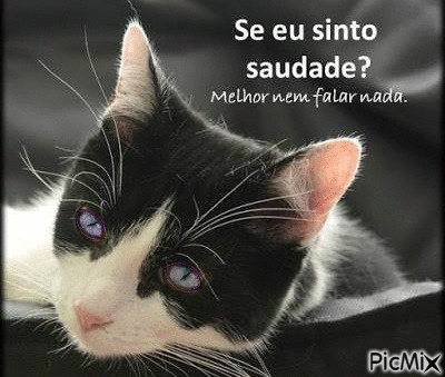 saudade - Бесплатни анимирани ГИФ