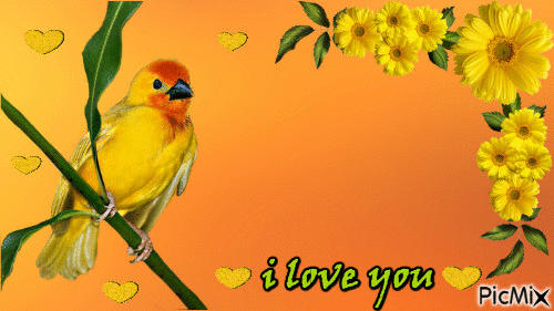 love bird - Bezmaksas animēts GIF