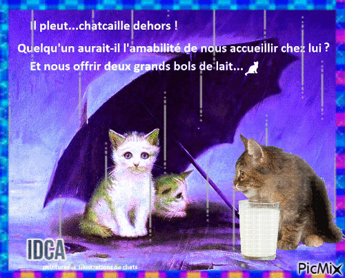 Il pleut chat caille - GIF animé gratuit