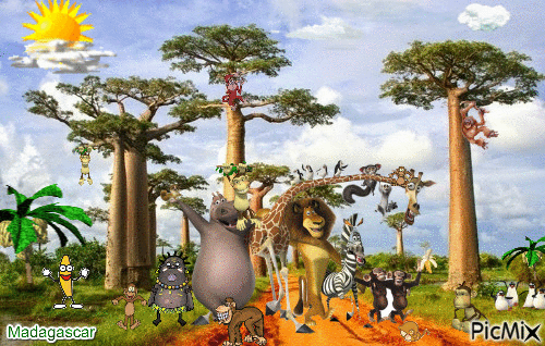 Madagascar - GIF animé gratuit