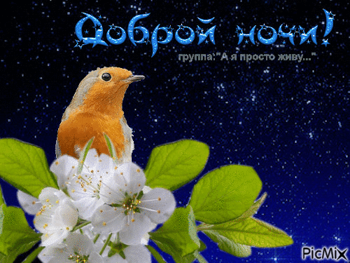 Добрый ночи - Ingyenes animált GIF