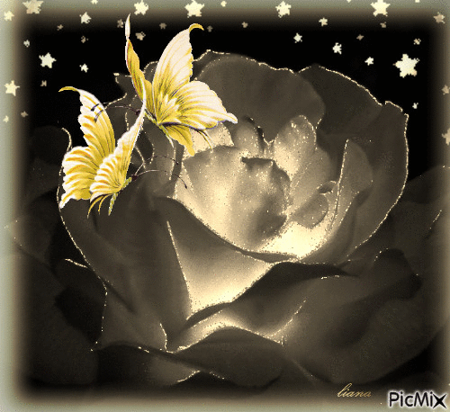 butterflies... in the night... - Δωρεάν κινούμενο GIF