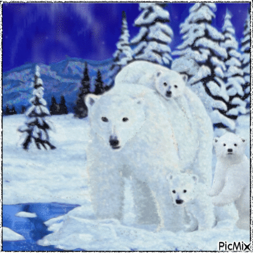 Kutup ayıları - GIF animado gratis