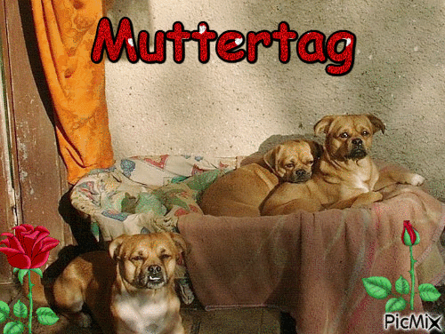 muttertag - Безплатен анимиран GIF