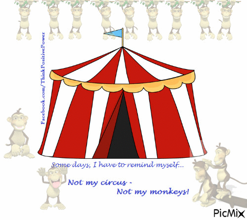 Not my circus - 免费动画 GIF