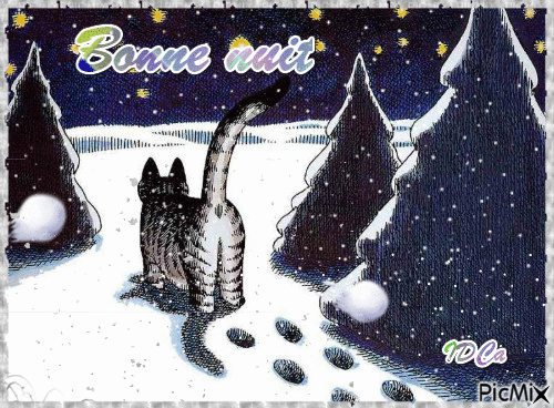 Bonne nuit  les chatons - GIF animé gratuit