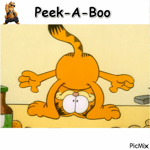 Peek-A-Boo - 免费动画 GIF