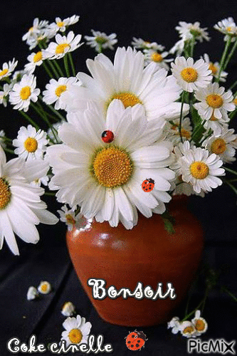 margueritte - Free animated GIF