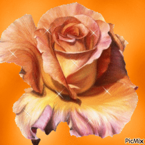 Fleurs doré - 無料のアニメーション GIF