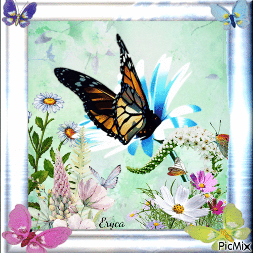 Joli papillon - Darmowy animowany GIF