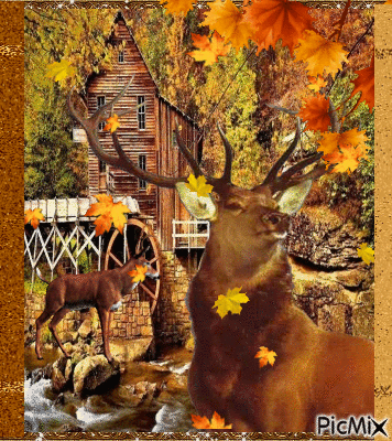 Deer in Autumn - Free animated GIF