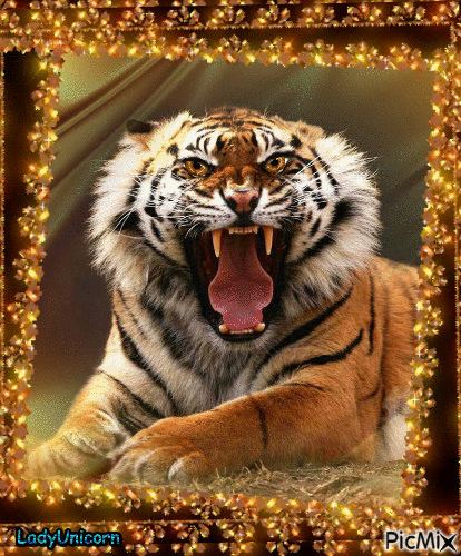 Golden Tiger - GIF animate gratis