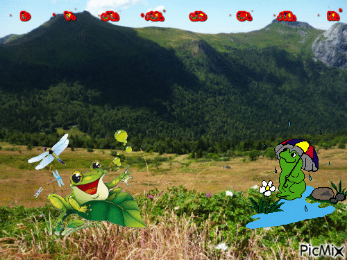 les grenouilles en folie - GIF animé gratuit
