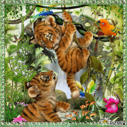 Les tigres - 免费动画 GIF
