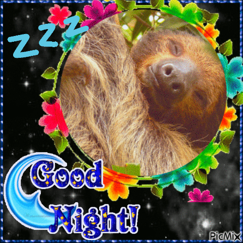 Good Night Sloth - GIF animate gratis