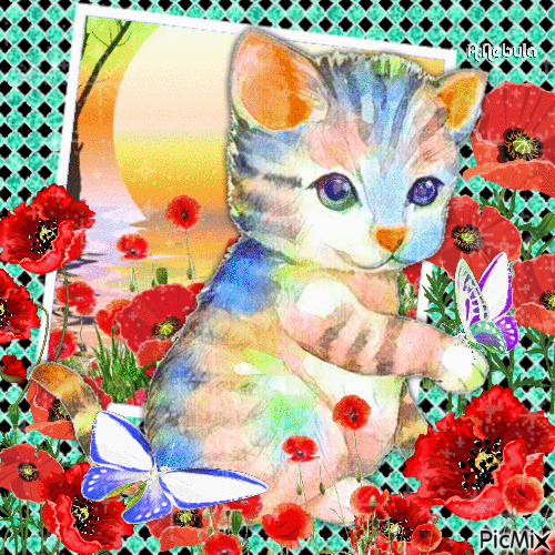 Colorful cat art - Free animated GIF