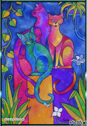 Colourful cats - Free animated GIF - PicMix
