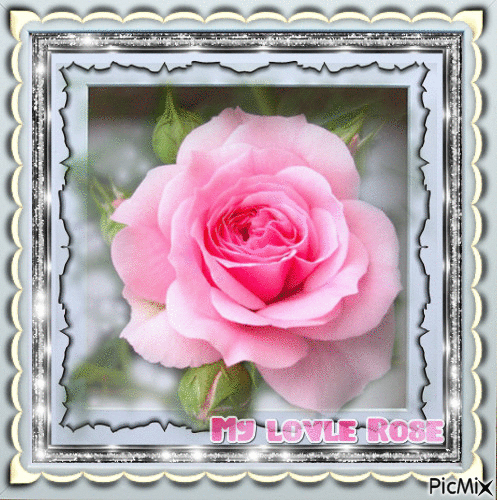 My lovley Rose - Free animated GIF