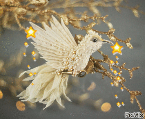 bijou oiseau - Zdarma animovaný GIF