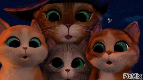 chat potté - Bezmaksas animēts GIF