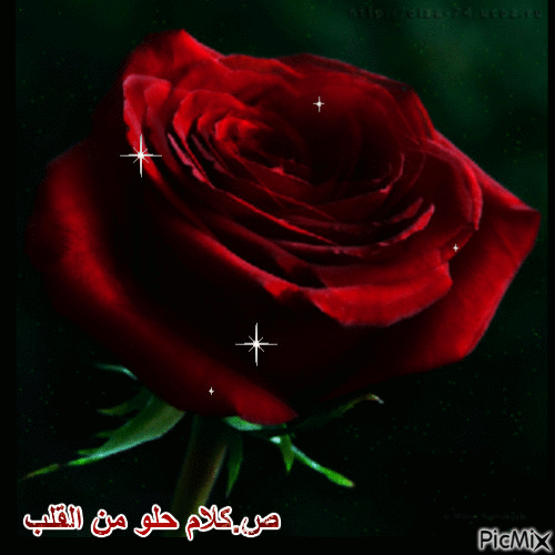 ححححح - Darmowy animowany GIF
