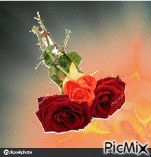 virág csokor - Бесплатный анимированный гифка