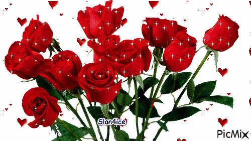 рози - GIF animado grátis