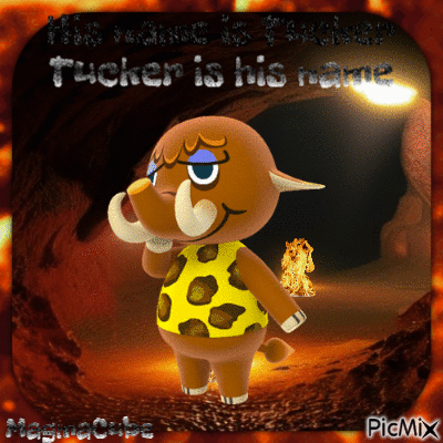His name is Tucker, Tucker is his name - Zdarma animovaný GIF