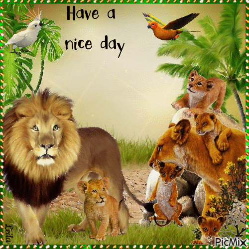 Have a Nice Day. Lion family - GIF animé gratuit