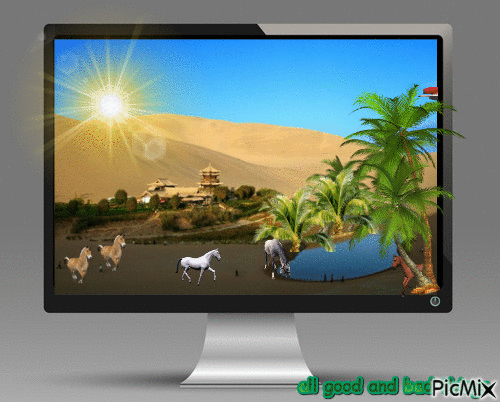 airplane horse desert palm - Zdarma animovaný GIF