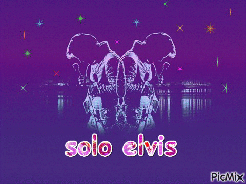 solo elvis - Free animated GIF