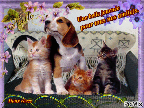 Chien et chats - Free animated GIF