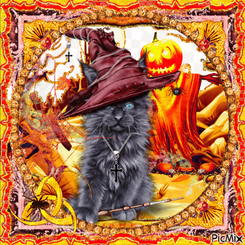 halloween cat - Безплатен анимиран GIF