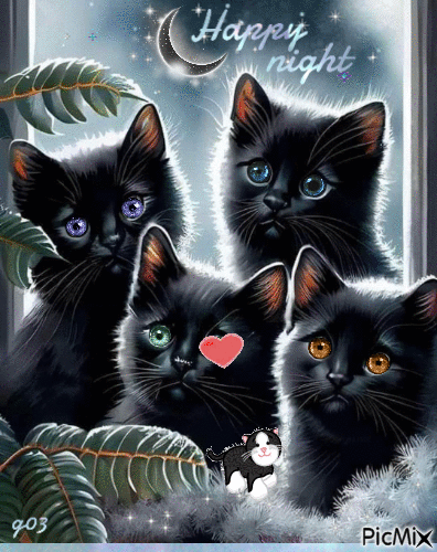Three little kittens - GIF animé gratuit