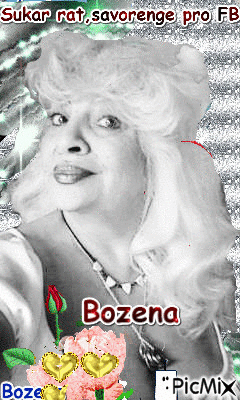 bozena - 免费动画 GIF