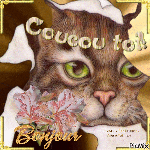 Coucou toi,bonjour - Δωρεάν κινούμενο GIF