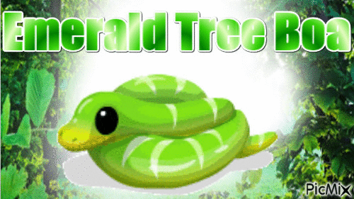Emerald Tree Boa - GIF animate gratis