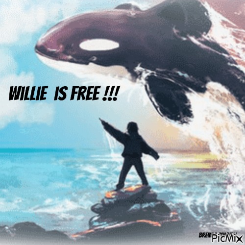 willie is free - png grátis