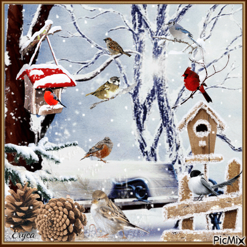 Les oiseaux en hiver - Free animated GIF