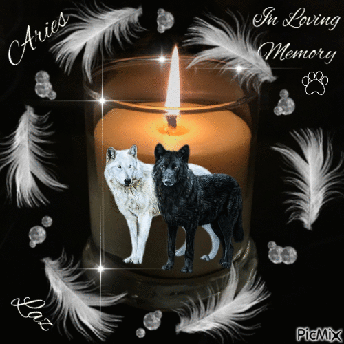 In Loving Memory - Aries and Laz - Бесплатни анимирани ГИФ