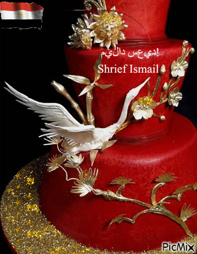 Shrief Ismail      ميلاد سعيد! - Animovaný GIF zadarmo
