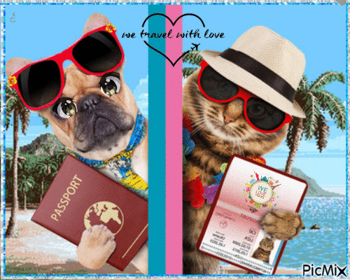 Dogs too, are traveling. - GIF animate gratis