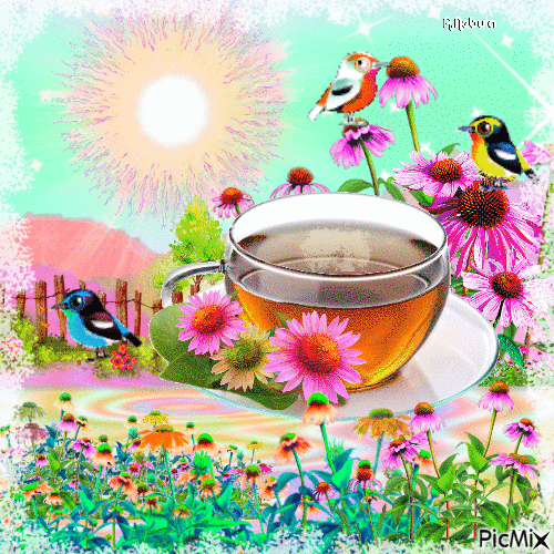 Tea time/Echinacea tea/contest - Darmowy animowany GIF