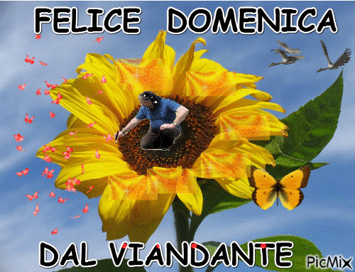 DI DOMENICA - Zdarma animovaný GIF