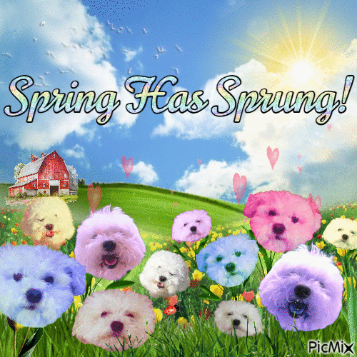 spring has sprung dogs - GIF animate gratis